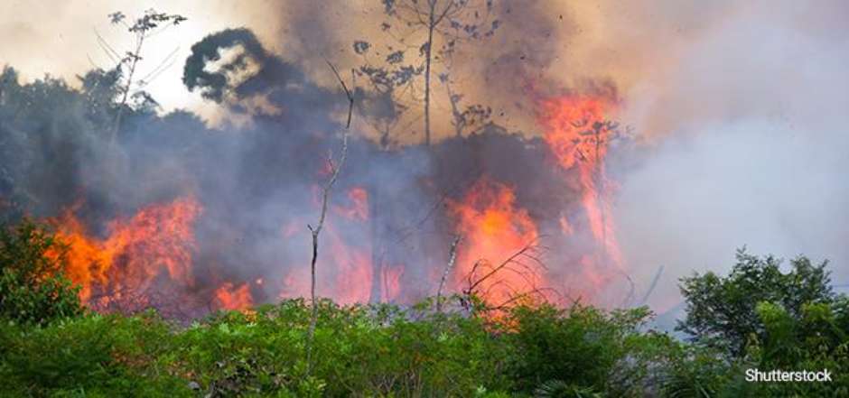 Mais de mil focos de incêndio no PA e MT em 48h