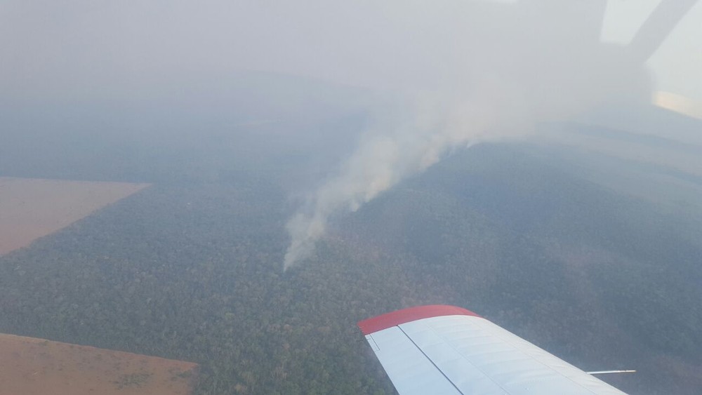 Com 5 incêndios florestais em andamento, MT pode estender período proibitivo de queimadas