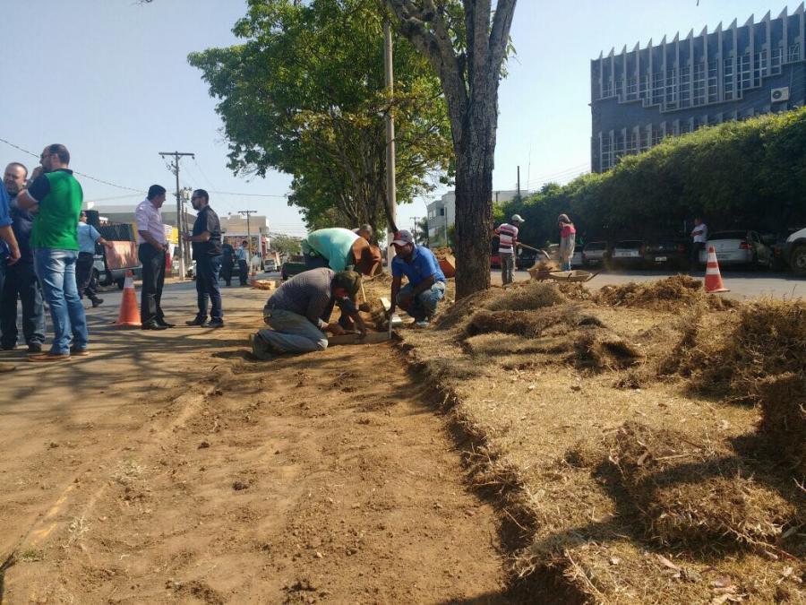 Revitalização e ciclovia na Avenida Campo Grande