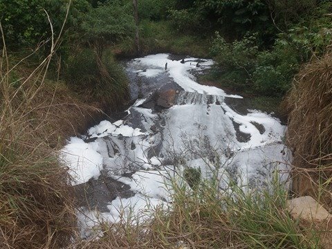 Sema multa Águas de Primavera em 1,2 milhão