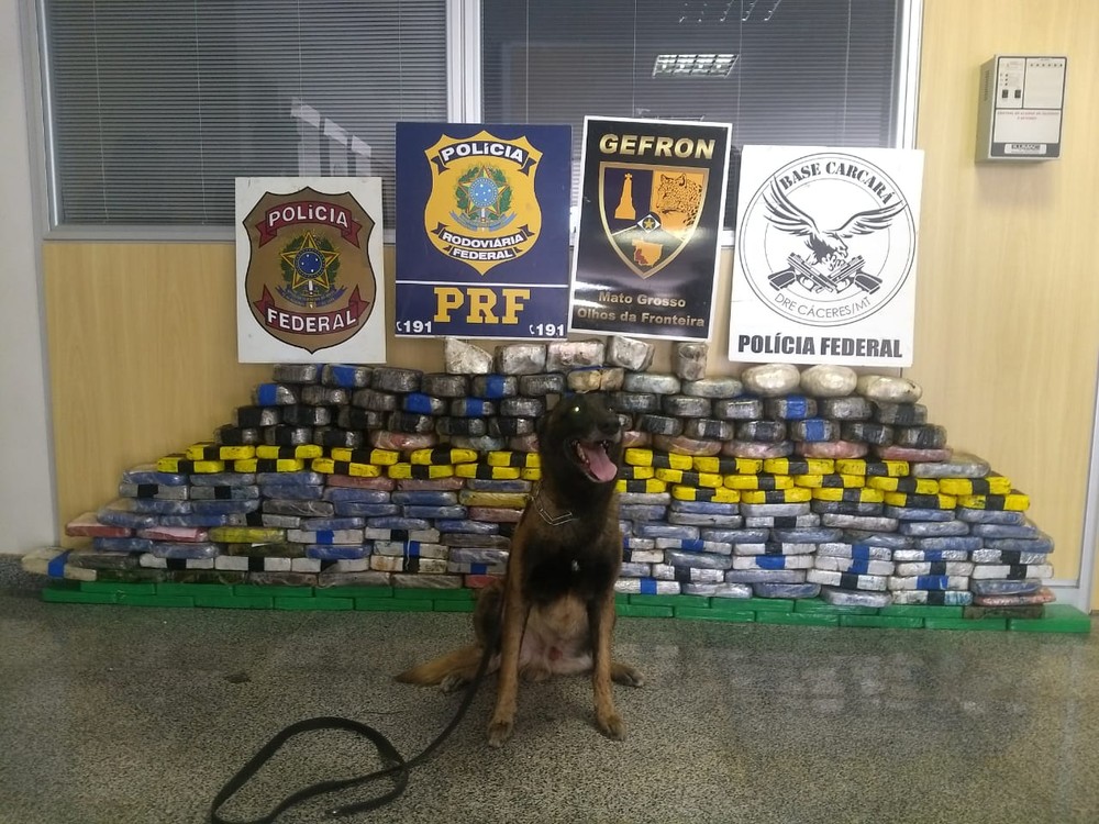 Motorista e passageiro são presos com mais de 200 kg de cocaína escondidos em engate de carreta