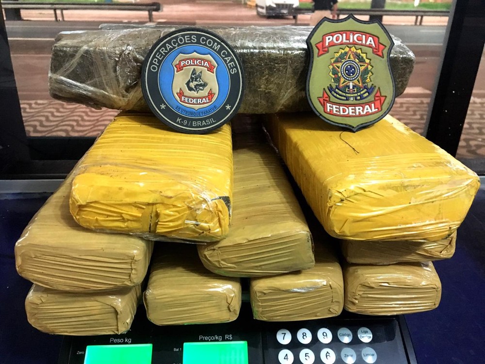 PF utiliza cães farejadores e encontra mais de 11 quilos de droga em ônibus
