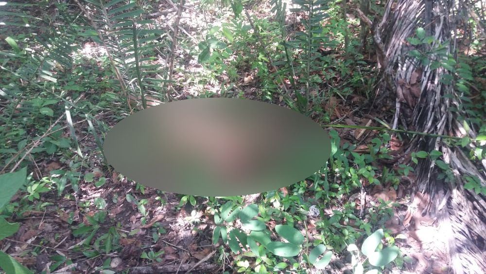 Homem mata irmã, confessa crime à mãe e corpo é encontrado nu em região de mata em MT, diz PM