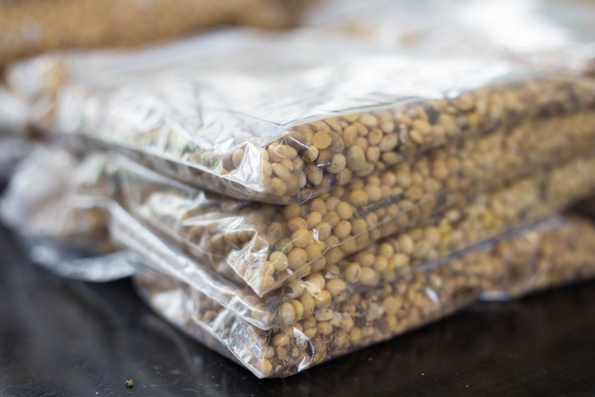 Genesis Group abre oportunidades para classificadores de grãos em diversas regiões do Brasil