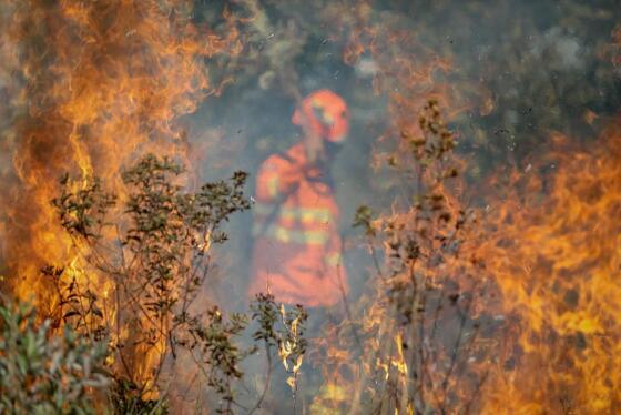 Governo do Brasil diz que foram apagados metade dos incêndios no bioma Pantanal