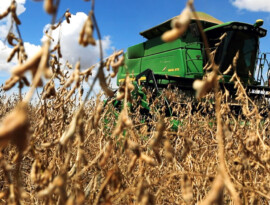 Imea aponta impacto da alta do diesel nos custos de produção e transporte da soja em Mato Grosso