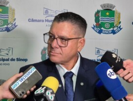 Presidente eleito